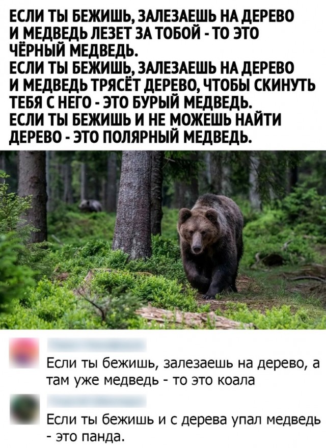 Так себе картинки 05.03.22