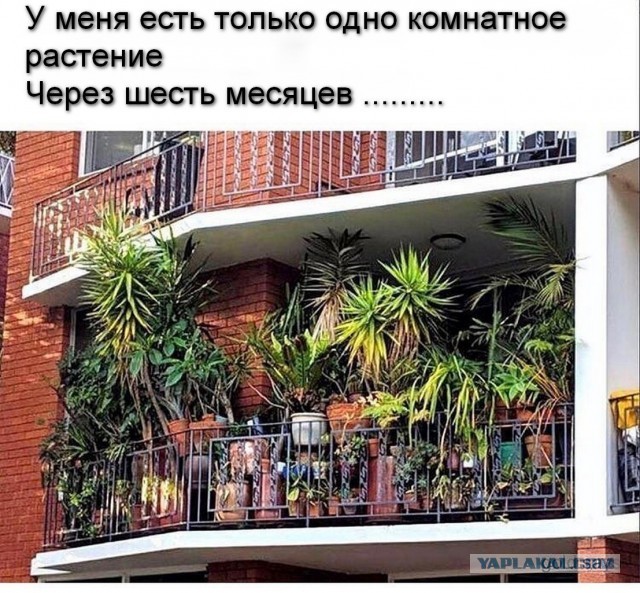 Квартира мужа или совместная ипотека?