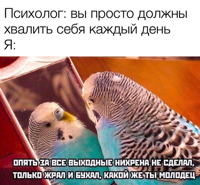 Пандемия. Коронавирус и съехавшие крыши. Россия и мир. Часть 34.