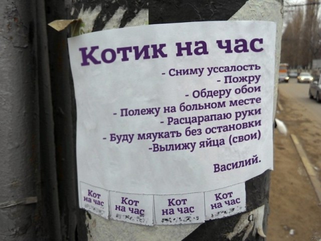 Так себе картинки 21.05.22