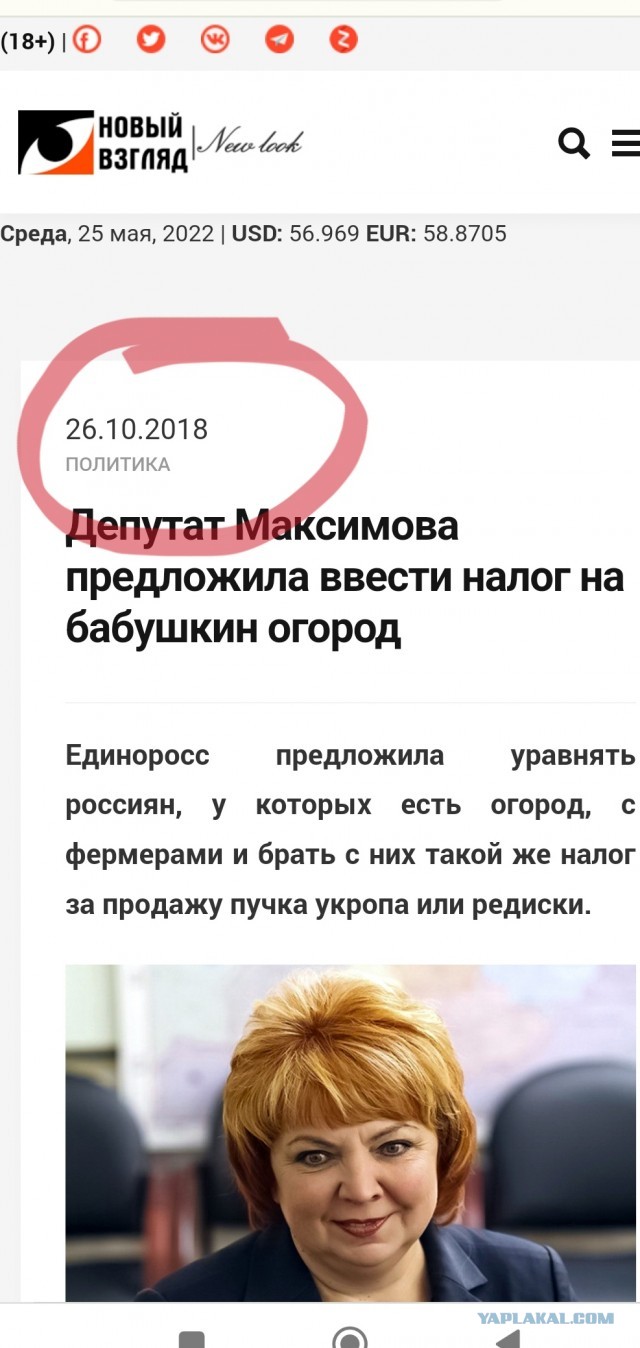 Депутат от ЕР Светлана Максимова предложила обложить налогом дачников, продающих свой урожай
