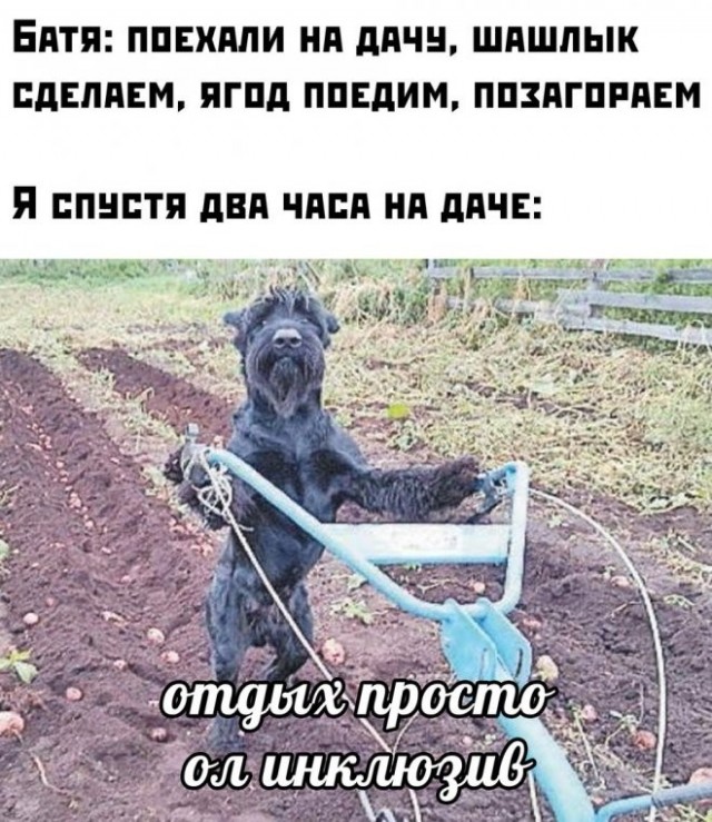 Картинки с надписями 02.07.22