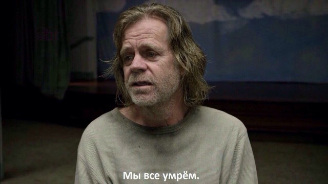 Исследования показали, что терапия псилоцибином снижает употребление алкоголя на 83%