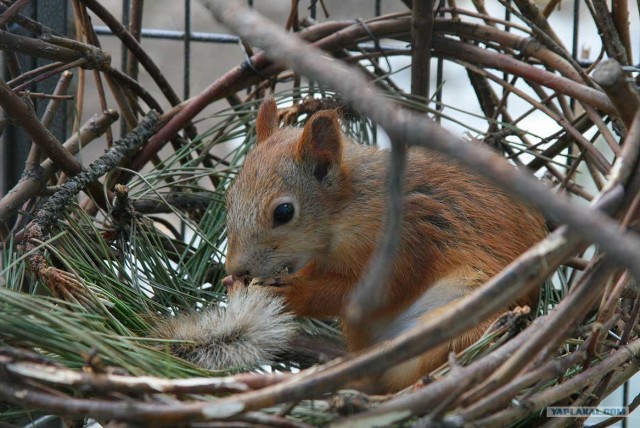 Южный берег Крыма