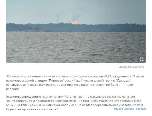Мужик на твиче просто включил под «Сектор Газа» для европейцев четыре газовые конфорки  - и так их держит 24 часа в сутки