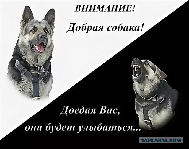 Немного картинок для настроения - 112