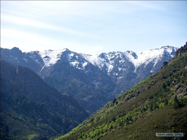 Франция. Корсика.