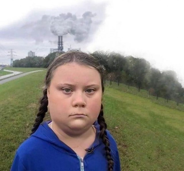 Задержание Греты Тунберг - постановка