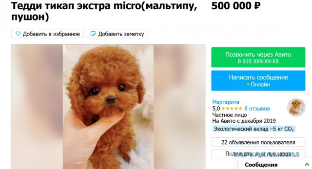 Осторожно, злая собака!