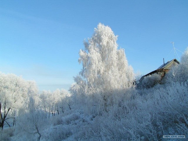 Русская зима (10 фот)