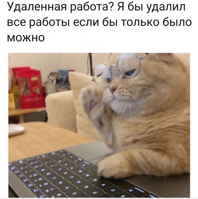 Нуштош 06.07.2023