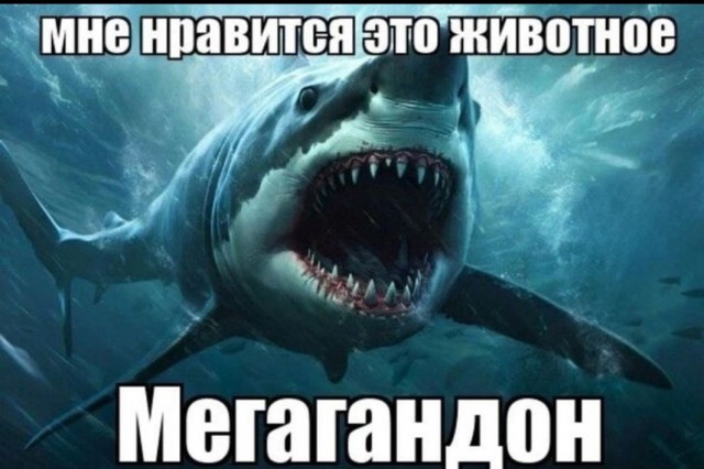 Всего понемногу.