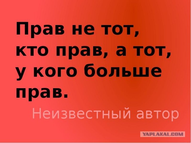 Известный меценат, бизнесмен и благотворитель, угрожая оружием, напал на отдыхающих на берегу реки