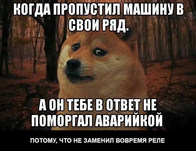 Умер пёс-герой Doge мема