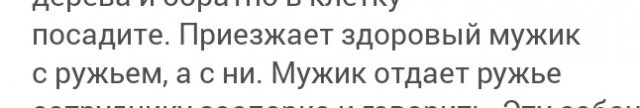 Самый большой в мире кот живет в России — познакомьтесь с мейн-куном по имени Кефир