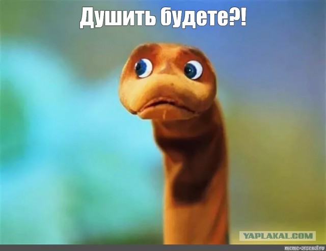 Житель Красногорска приютил у себя змею, которую выбросили в подъезде дома