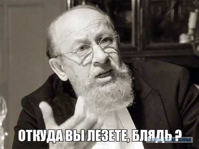 Дождались