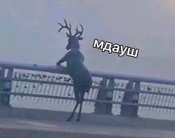 В Воронежской области бывший подарил девушке машину в надежде, что она вернётся к нему. АХА ХА ХАААА!