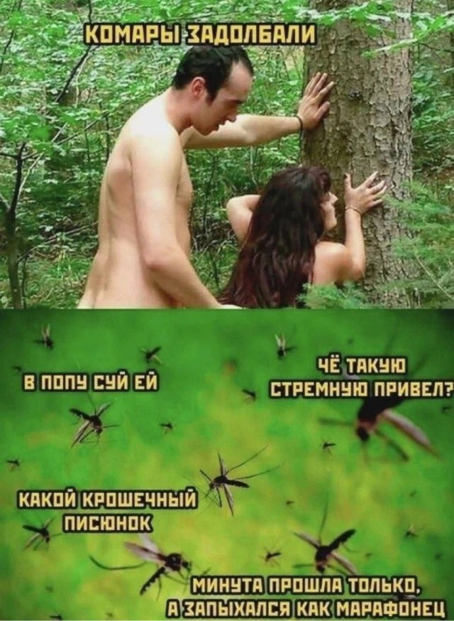 Завалялось тут случайно немного забавных картинок