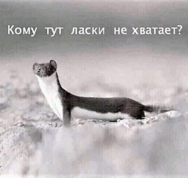 Прикольные и просто красивые картинки 05.07.2024