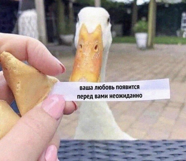 Завалялось тут случайно немного забавных картинок