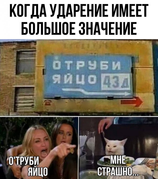 Немного картинок натыренных в ТГ
