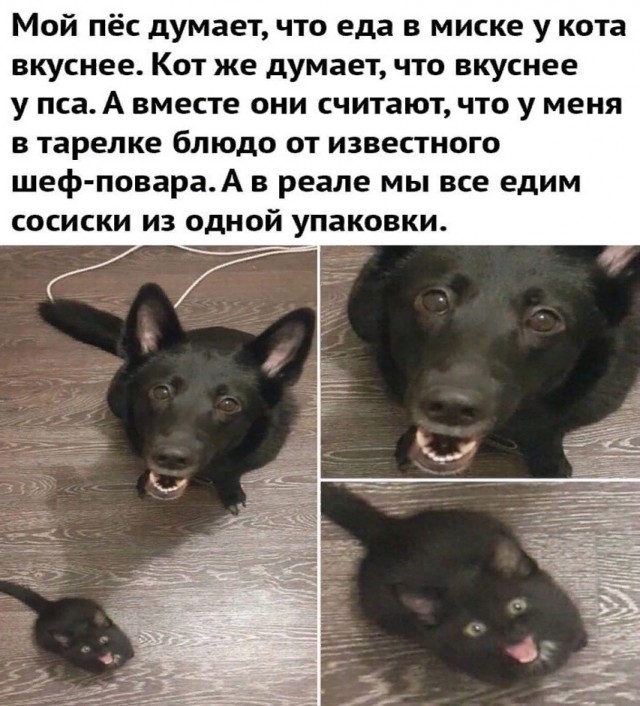 Так себе картинки 03.10.24