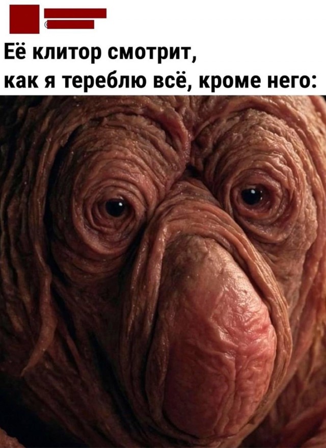 Так себе картинки 24.10.24
