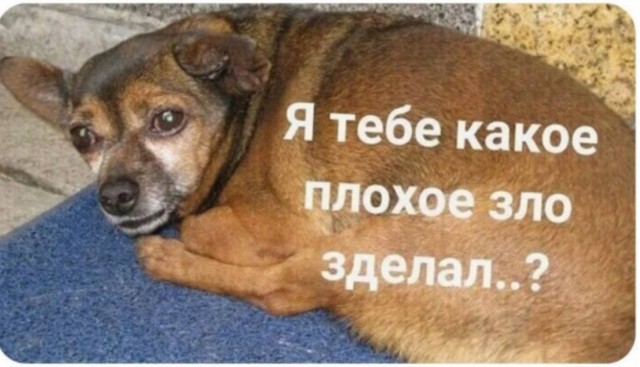 Призналась