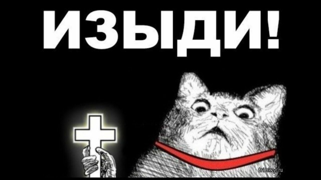 Тигорка слегка агрессирует