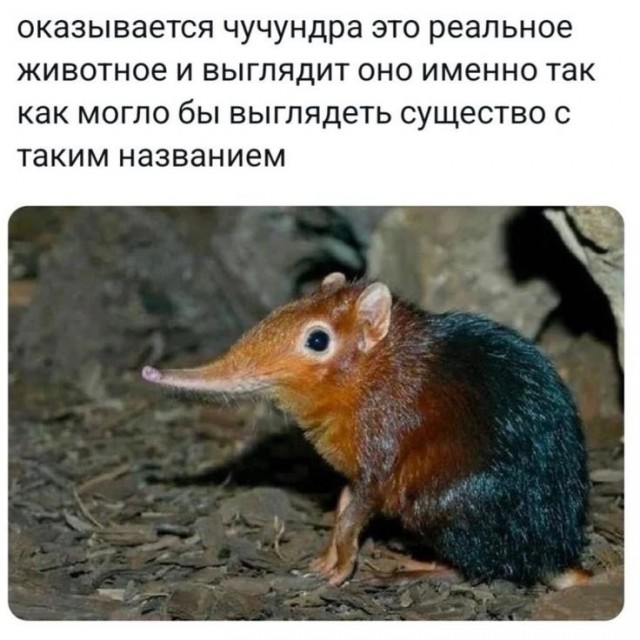Так себе картинки 22.03.25
