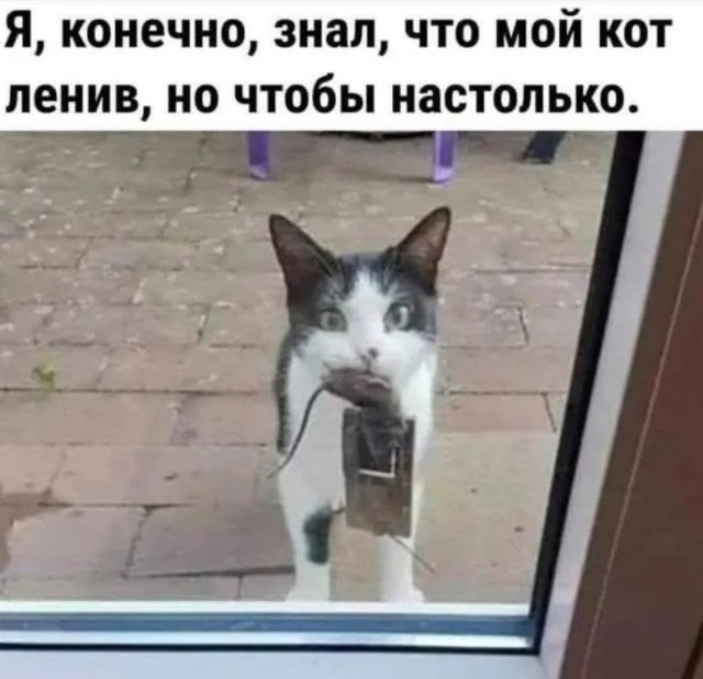 Завалялось тут случайно немного забавных картинок