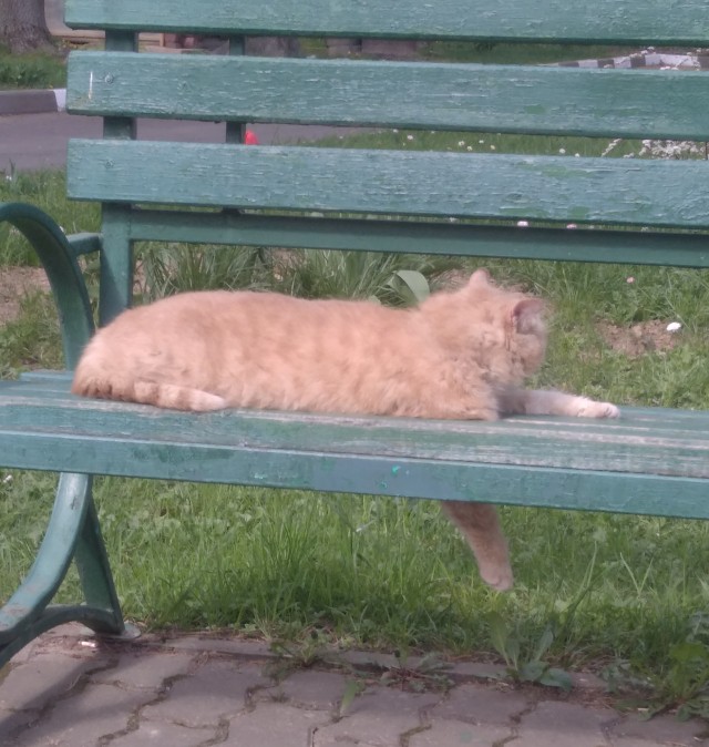 Косоглазый Смайлик