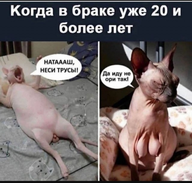 Так себе картинки 14.06.25
