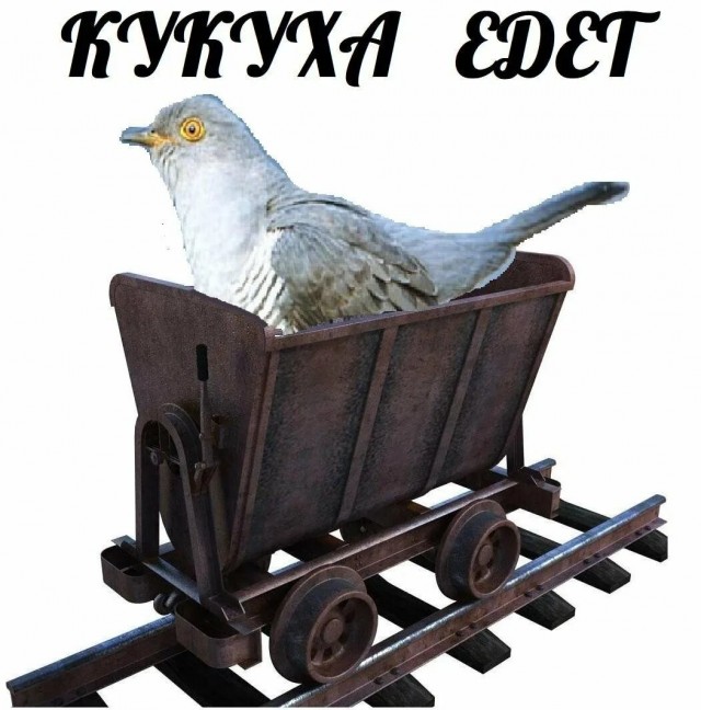 Я думал, что видел всё