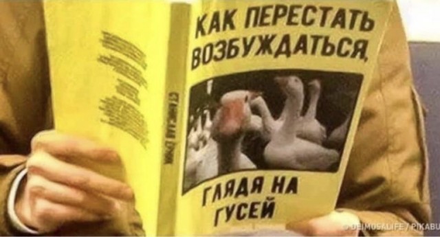 Гусиная тема