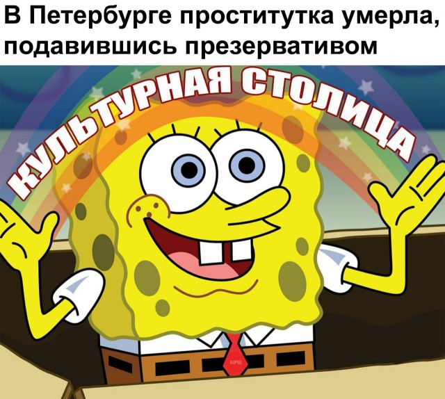 20289105.jpg