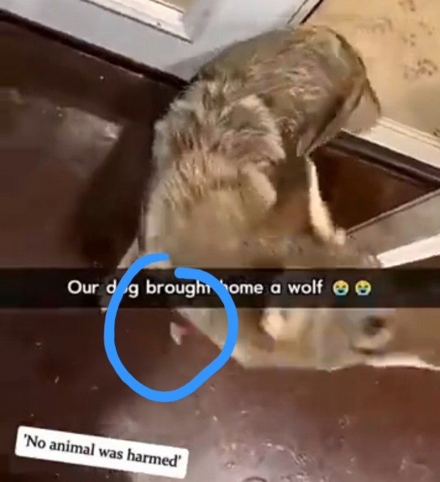 Пригласили друзей