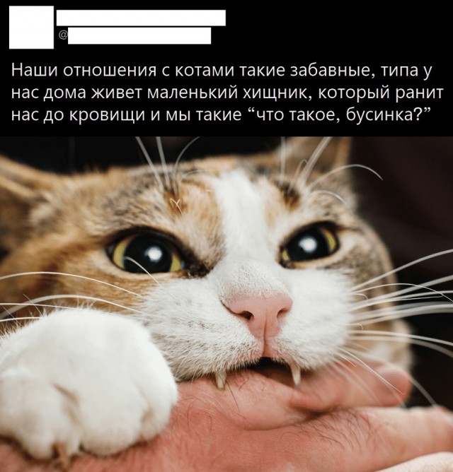 Так себе картинки 29.08.25