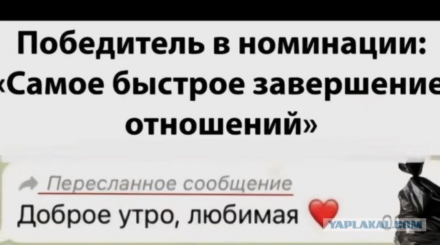 Картинки для деградации 51 (разной степени свежести)