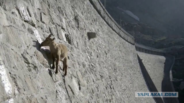 Переход на следующий уровень