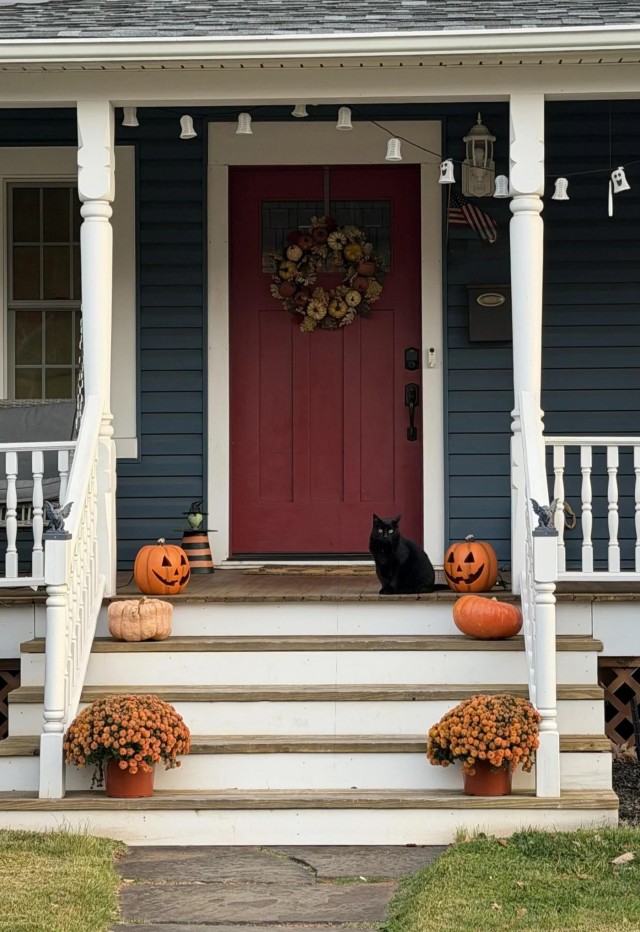 Чёрное котэ на крыльце