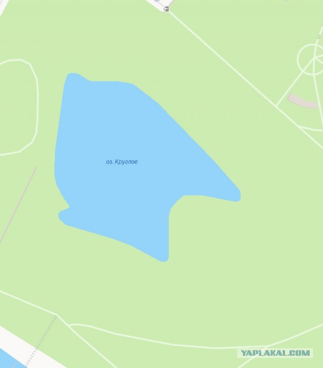 Немного картинок