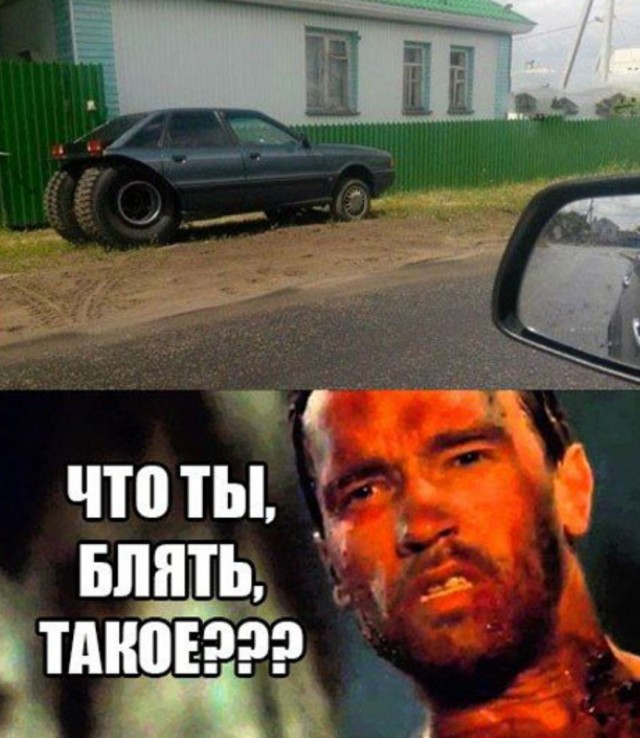 Веселое настроение в картинках (19.11.2025)