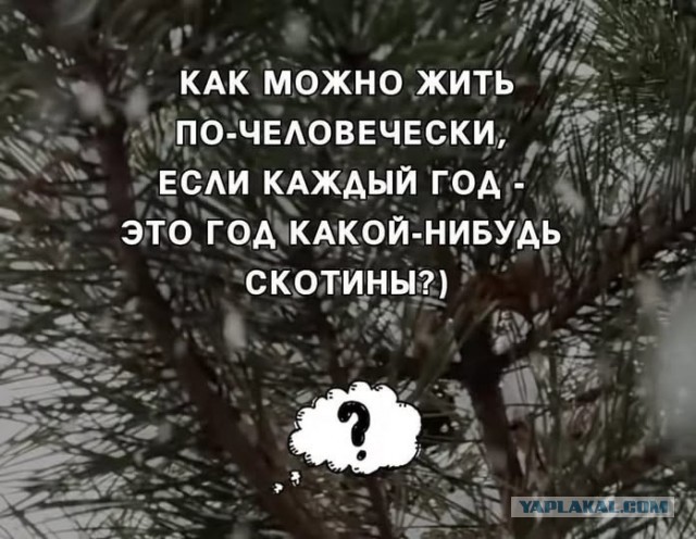 Так себе картинки 13.12.25