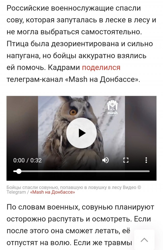 Радостный мужик и сова