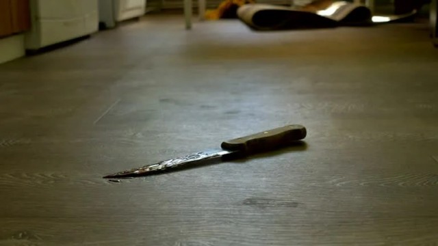 В Подмосковье подросток напал с ножом на пожилую пару по указанию телефонных мошенников