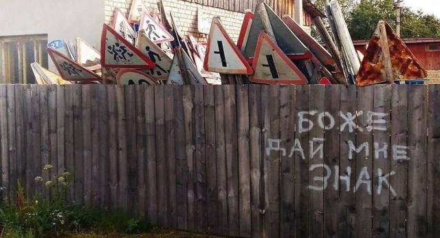 Жизнь домашнего приюта для котеек 571