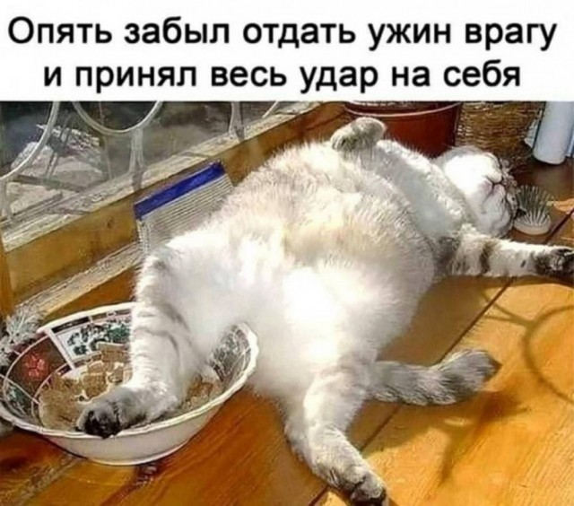 Четверговые картинки