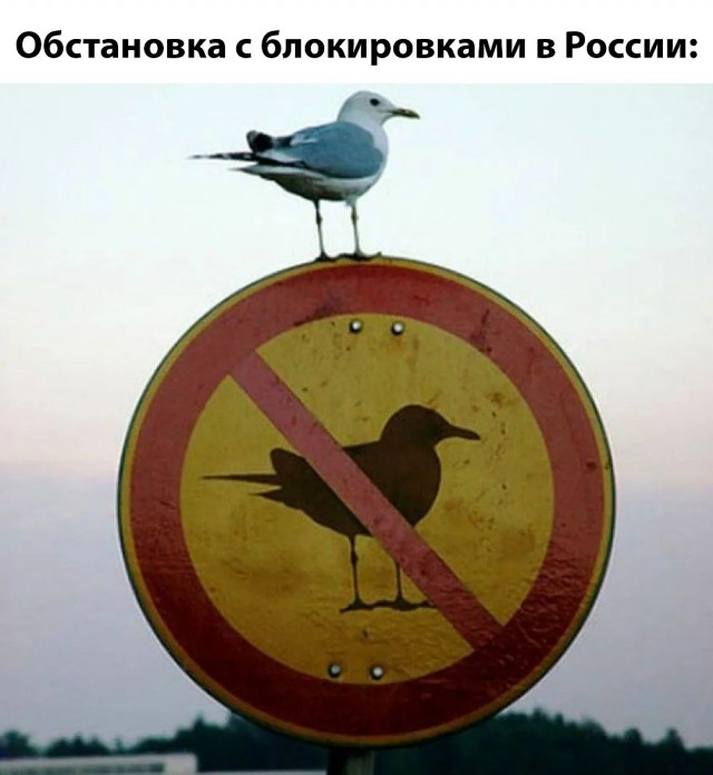 Картинки для деградации 163 (разной степени свежести)